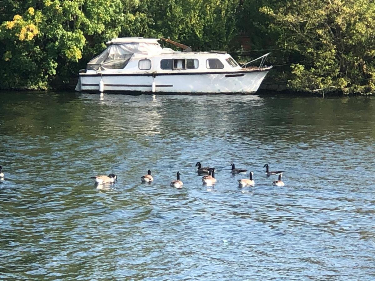 Private Room - The River Room At Burway House On The River Thames 彻特西 外观 照片