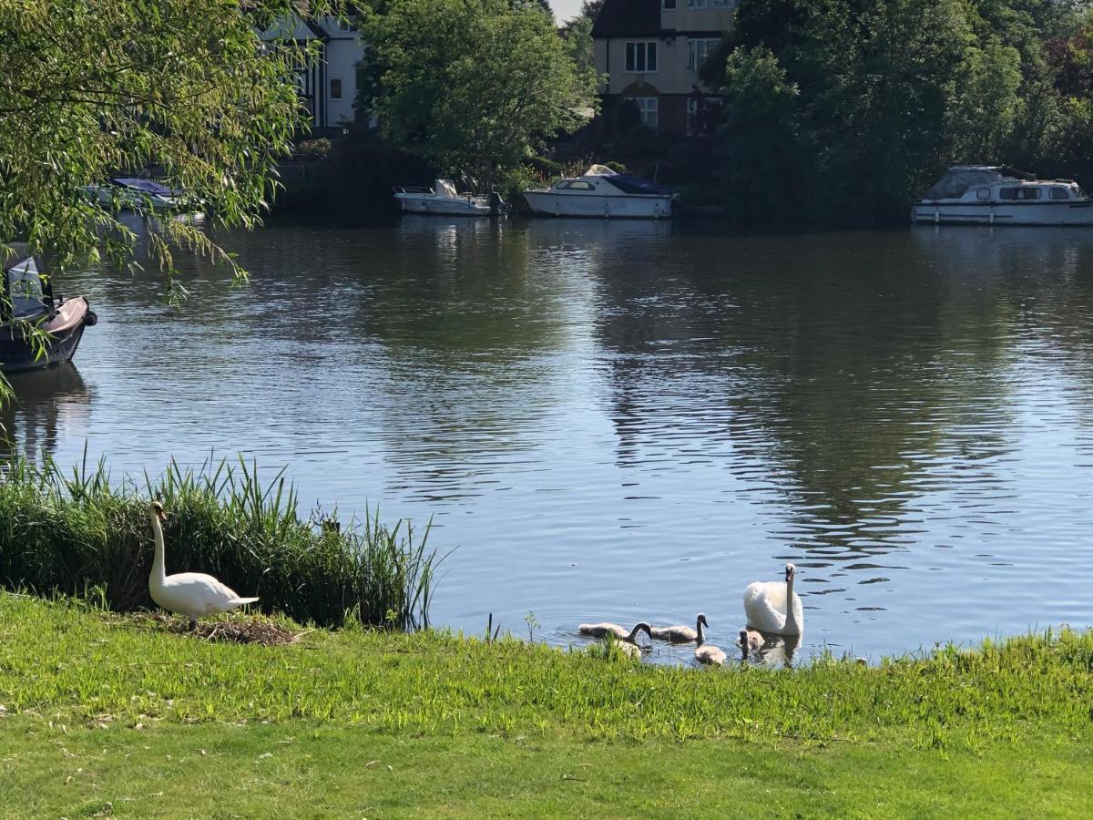 Private Room - The River Room At Burway House On The River Thames 彻特西 外观 照片