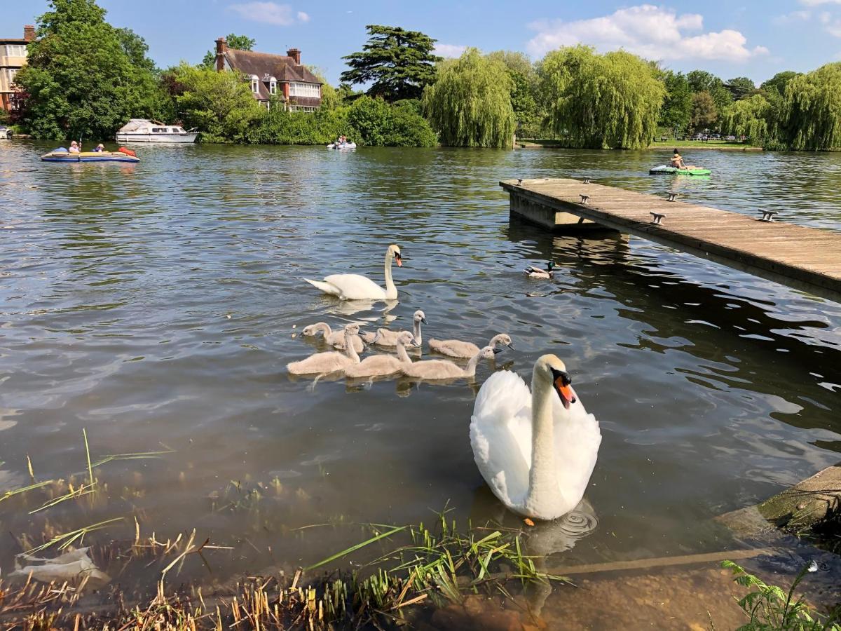 Private Room - The River Room At Burway House On The River Thames 彻特西 外观 照片